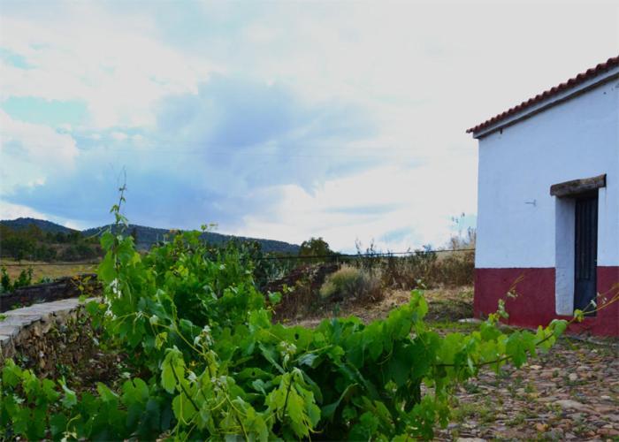 Casa Rural El Abuelo Alonso La Codosera ภายนอก รูปภาพ